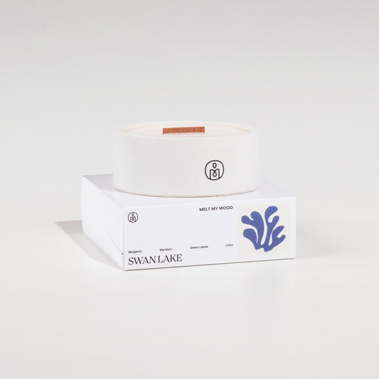SWAN LAKE Melt My Mood